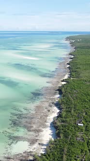 Vertical Video of the Ocean Near the Coast of Zanzibar Tanzania