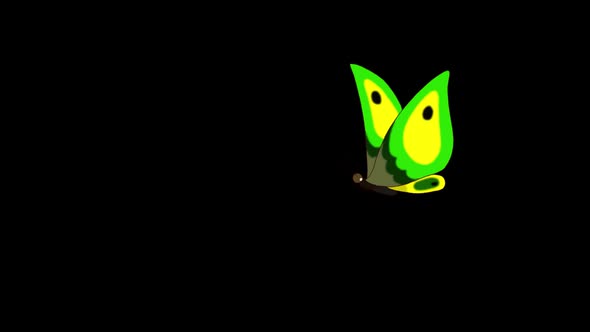 Green butterfly flies in, sits and flies away alpha looped 