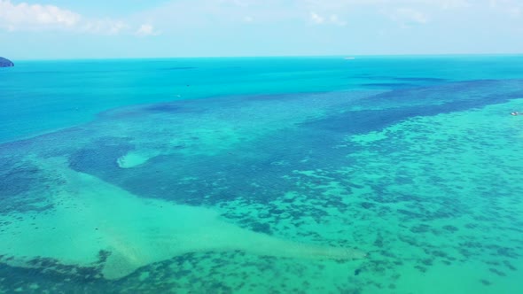 Aerial top down seascape of tranquil bay beach wildlife by blue green lagoon and white sand backgrou