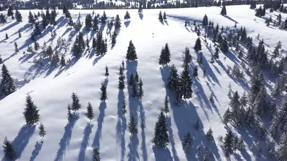 Flying Above Snow Covered Mountains