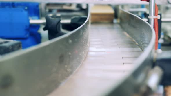 Batches of Multilayered Waffles are Moving Along the Conveyor