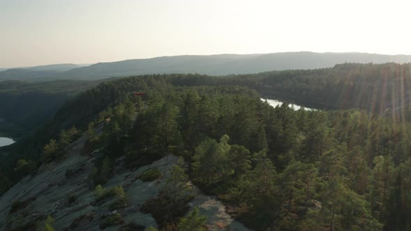 Drone Over Sunlit Forest At Sunrise