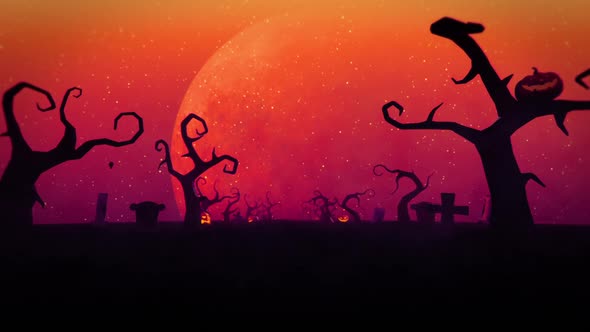 Halloween Silhouette Background Loop