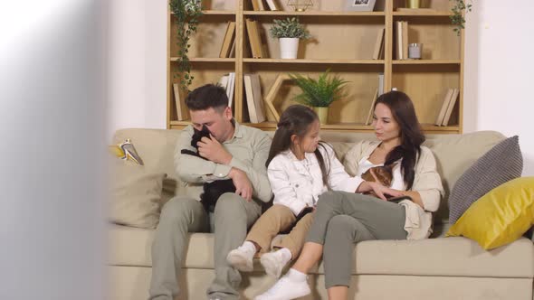 Beautiful Family Petting Two Cute Cats on Sofa at Home