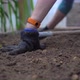 Closeup of a Woman's Hands Loosens the Humus Preparing the Soil for Planting - VideoHive Item for Sale