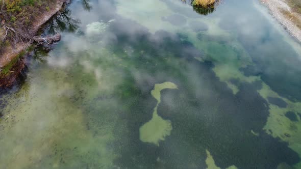 Cloud reflections in the mossy lake