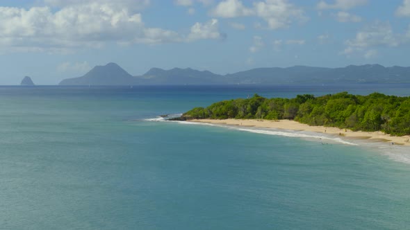 Aerial of beautiful sea and green trees on coast