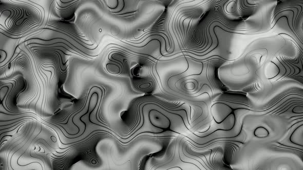 Black White Color Abstract Seamless Line Pattern Liquid Animated Background