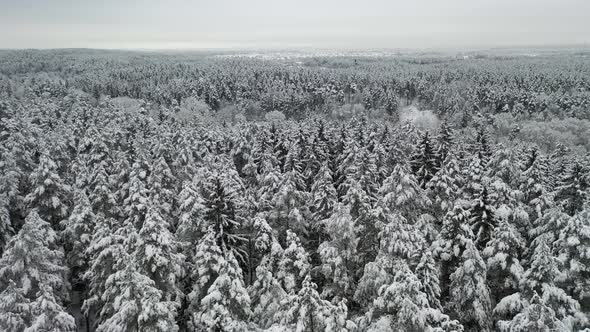 AERIAL: Flying Backwards Over Frozen and Snowy Forest in Winter