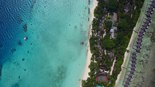 Wide angle nature of coastline beach wildlife by clear ocean and sand background near surf