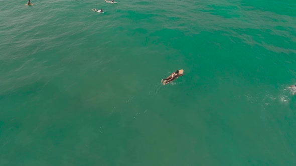 Flyover Asian Indian Surfer Girl Catching A Wave