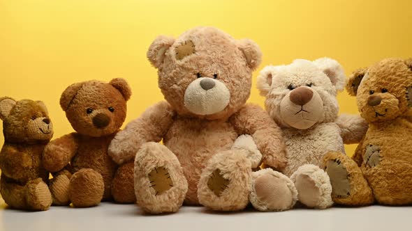 group of cute brown teddy bears sit on yellow background