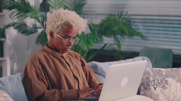 Concentrated Afro American Woman Sit on Sofa Busy Working on Laptop Browsing Web