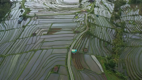 Aerial video in an amazing landscape rice field on Jatiluwih Rice Terraces, Bali, Indonesia