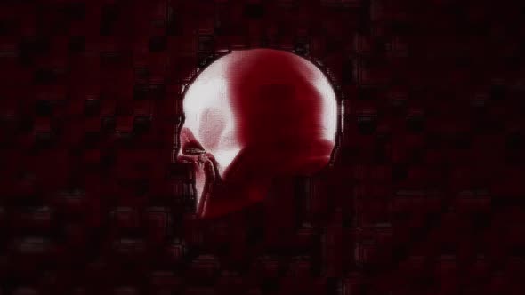 Human Biology DNA Skull Brain animation 4k