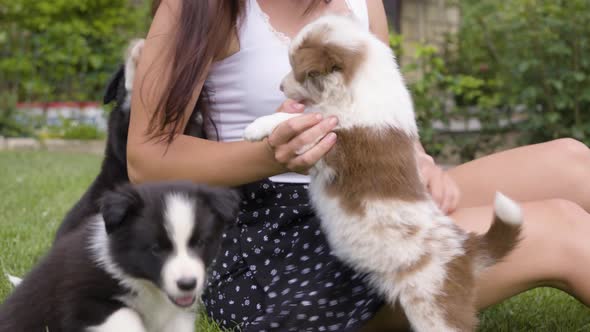 A Woman Plays with a Cute Little Puppy As She Sits on Grass in a Garden