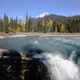 Sunny Autumn View of the Athabasca River and Athabasca Fall - VideoHive Item for Sale