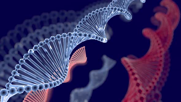 DNA molecules animation red and blue color and background blur alt