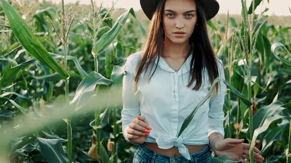 Young Farmer Girl in a Hat, on a Corn Field, Goes Through the Tall Corn Stalks in the Sun