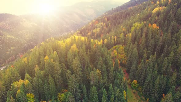 Aerial Flight in Carpathian Mountains. , 30Fps