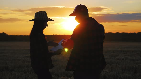 Silhouette Farmers Talking in a Wheat Field Against Sunset