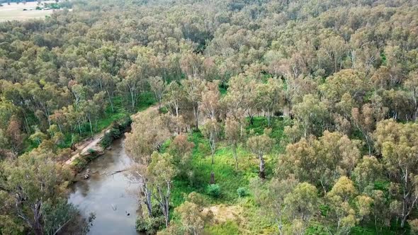 Aerial view over the Ovens River at Peechelba, where it enters the River Murray, in north-east Victo