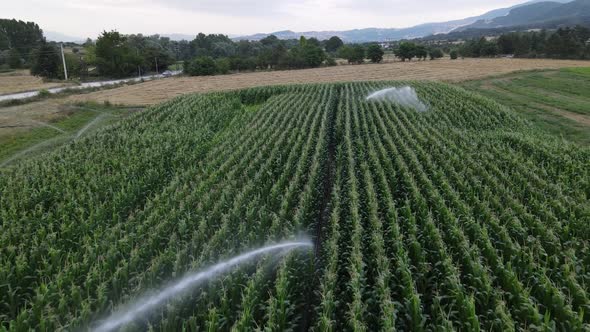 Agricultural Farm