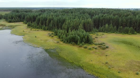 Flight Over the Taiga Forest Lake