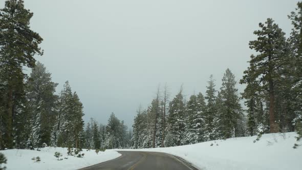 Snow and Fog in Wintry Forest Driving Auto Road Trip in Winter Utah USA