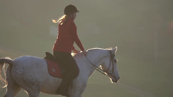 Horse Riding Girl Riding a Horse Takes a Walk in the Field