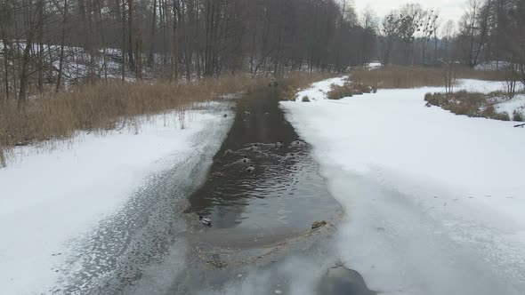 Ducks Swim On Frozen Lake