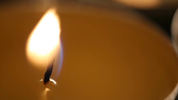 Strong Wind Blowing at Weak Candle Flame, Attempt to Resist Terminal Illness