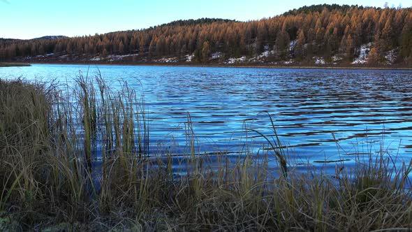 Landscape With Blue Lake And Dry Grass