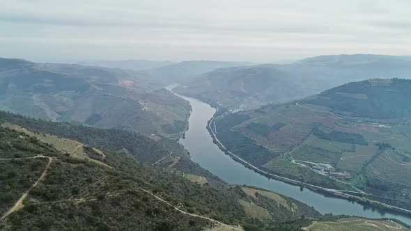 Aerial View of Terraced Vineyards in Douro Valley