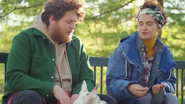 Man and Woman Playing with Dogs on Bench in Park