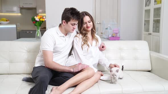 A Beautiful Couple of Young Lovers Feeding a Small White Kitten on Sofa