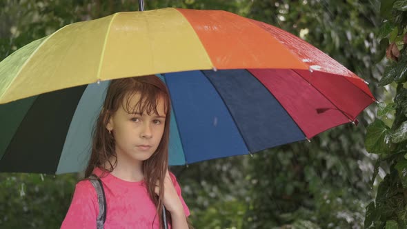 Multi-colored umbrella in the rain.