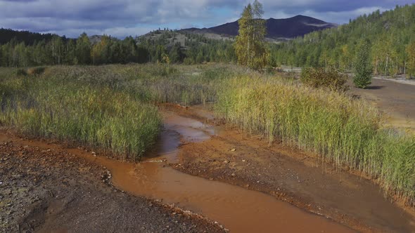 Nature Affected By Human Activities