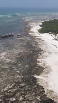 Vertical Video of Low Tide in the Ocean Near the Coast of Zanzibar Tanzania