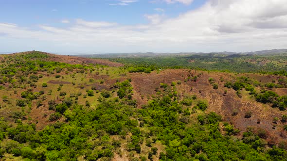 Hills and Mountains with Tropical Vegetation