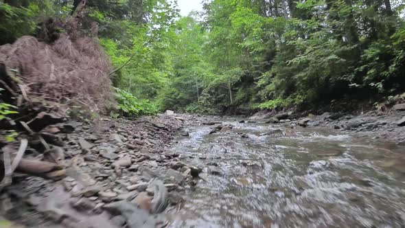 Smooth Rapid Flight Over a Mountain River Close to the Water Among a Dense Forest