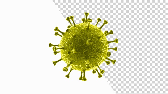 Corona Virus Visualization Covid 19 V4