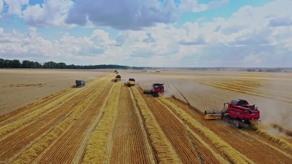 Combine harvesting wheat field. Modern combine harvester working on wheat field