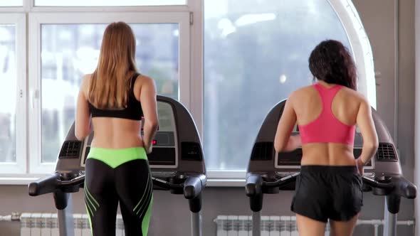 Two Young Athletic Women Running on a Treadmill at Gym. Fitness and Healthy Lifestyle Concept.