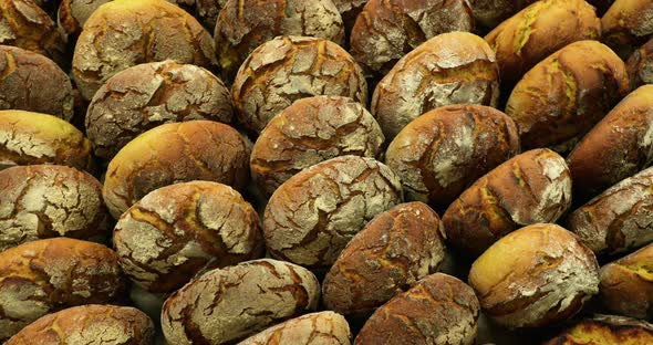 Sourdough Bread Freshly Baked In A Bakery - top view, orbiting