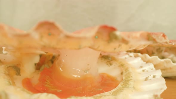 Spotted Mollusk Opens Thin Pink Shell Lying on Table