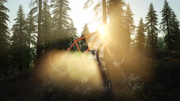 Bicycle in Mountain Forest at Sunset