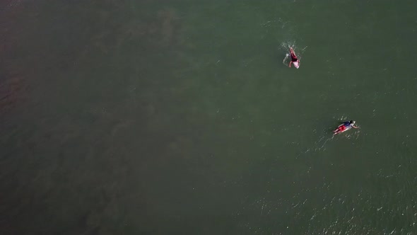 Surfers Lie on the Boards