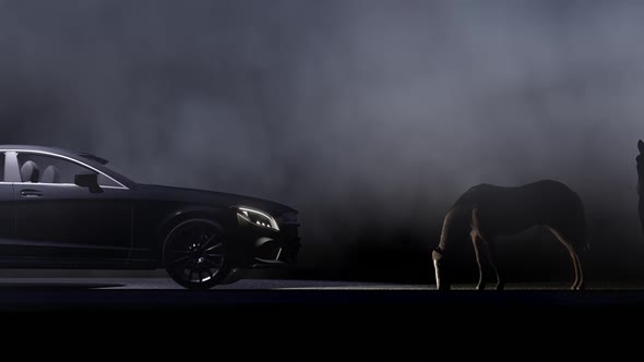 Foggy Luxury Car and Horse