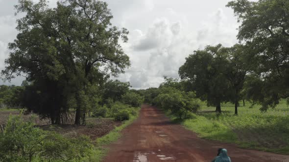 Africa Mali Forest And Red Road Aerial View